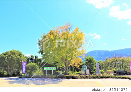 道の駅　青洲の里 85514072