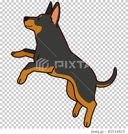 Simple and cute Doberman illustration that jumps with main line 85514823