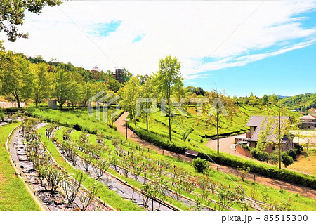 道の駅 四季の郷公園 道の駅 四季の郷公園 85515300