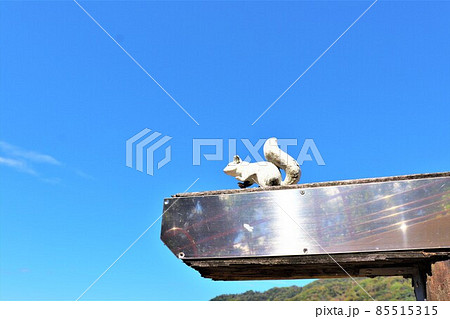 道の駅 四季の郷公園 道の駅 四季の郷公園 85515315