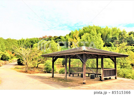 道の駅　四季の郷公園 85515366