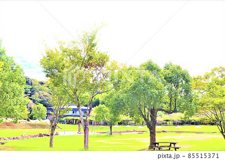 道の駅　四季の郷公園 85515371