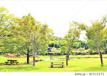 道の駅 四季の郷公園 道の駅 四季の郷公園 85515372