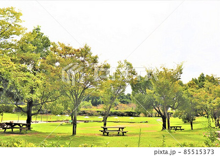 道の駅　四季の郷公園 85515373