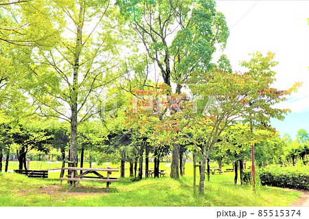 道の駅　四季の郷公園 85515374