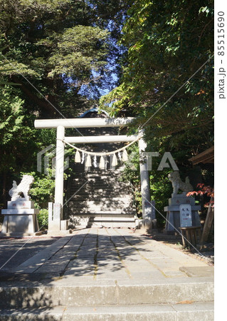 大國魂神社 大國魂神社 85515690