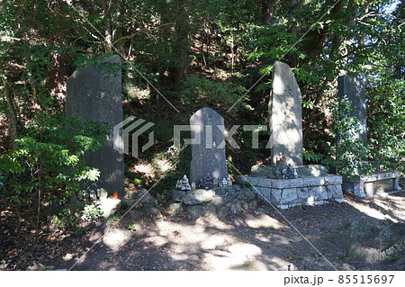 大國魂神社 大國魂神社 85515697