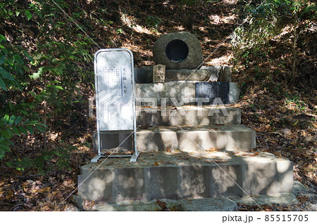 大國魂神社 85515705