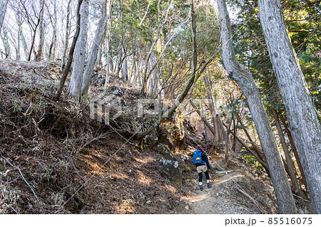 登山道を歩く女性 登山道を歩く女性 85516075