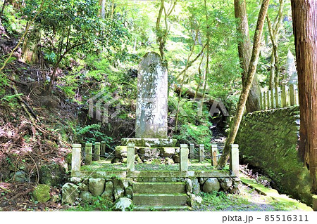 鞍馬寺 85516311