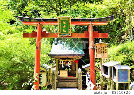 鞍馬寺 85516320