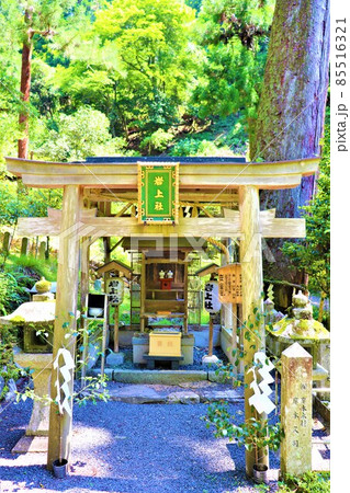 鞍馬寺 85516321