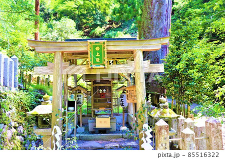 鞍馬寺 鞍馬寺 85516322