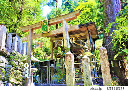 鞍馬寺 鞍馬寺 85516323