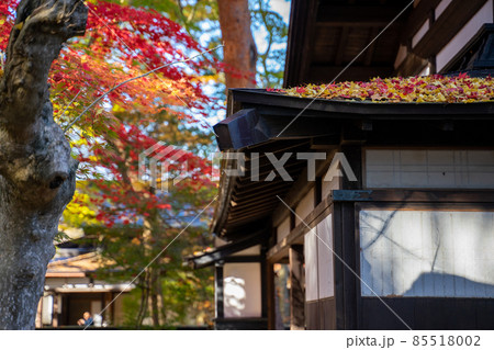 紅葉　古民家 85518002