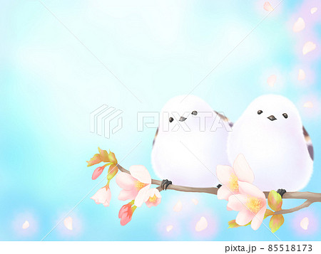 桜の枝にとまる2羽のシマエナガ（青空に舞う花吹雪背景） 85518173