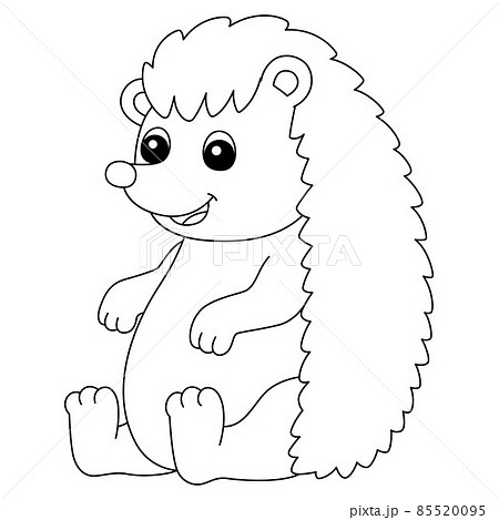 Hedgehog Coloring Page Isolated for Kids 85520095