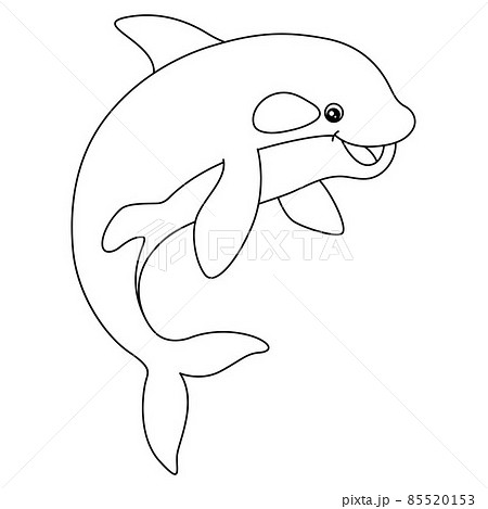 Killer Whale Coloring Page for Kids 85520153