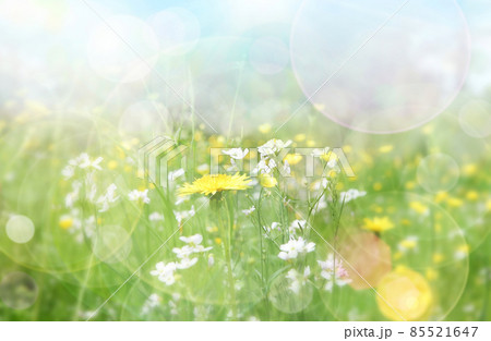 Spring background Spring background 85521647