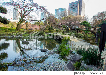 Park Koishikawa Korakuen in Tokyo ( Bynkyo city) - pond , bridge and sakura tree( withouts blossoms) Park Koishikawa Korakuen in Tokyo ( Bynkyo city) - pond , bridge and sakura tree( withouts blossoms) 85522874