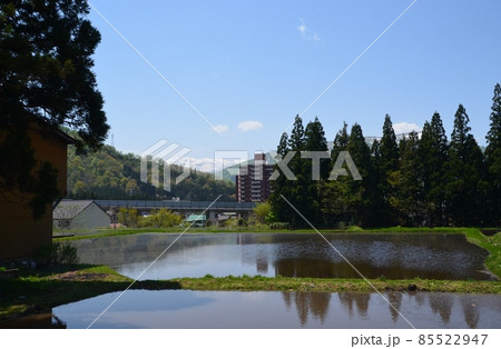 越後の田園風景 越後の田園風景 85522947
