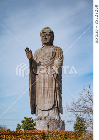 牛久阿弥陀大怫 85523269