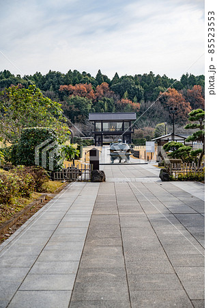 牛久大仏参道 85523553