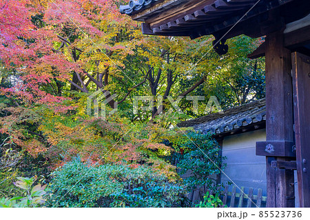 不退寺 不退寺 85523736