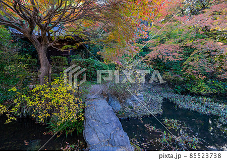 不退寺 不退寺 85523738