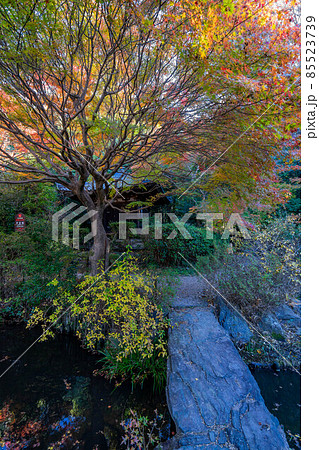 不退寺 不退寺 85523739