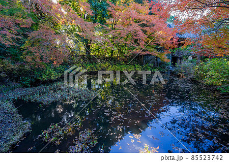 不退寺 不退寺 85523742