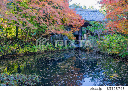 不退寺 不退寺 85523743