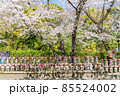 【東京都】増上寺の千躰子育地蔵尊と開花した桜 85524002