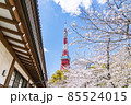 【東京都】増上寺の境内から見える東京タワーと満開の桜 85524015