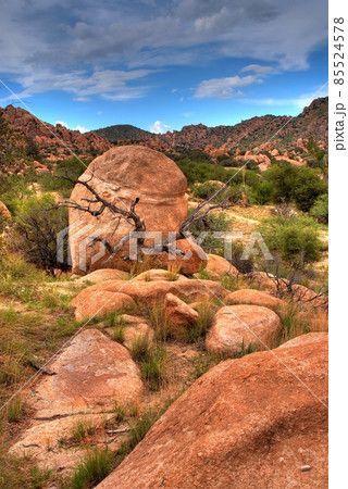 Texas Canyon Texas Canyon 85524578