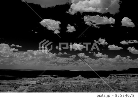 Petrified Forest 85524678