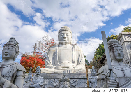 壺阪寺 壺阪寺 85524853