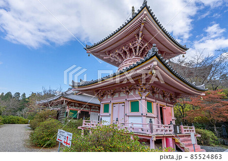 壺阪寺 85524863