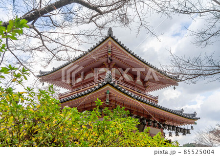 壺阪寺 85525004