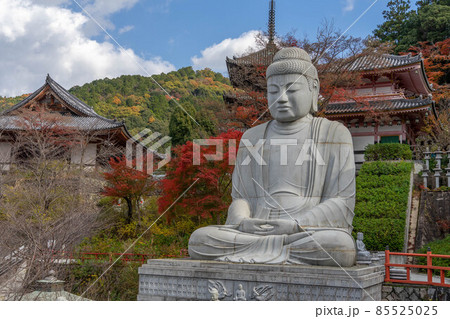 壺阪寺 壺阪寺 85525025