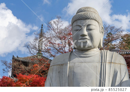 壺阪寺 85525027
