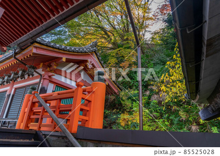 壺阪寺 85525028