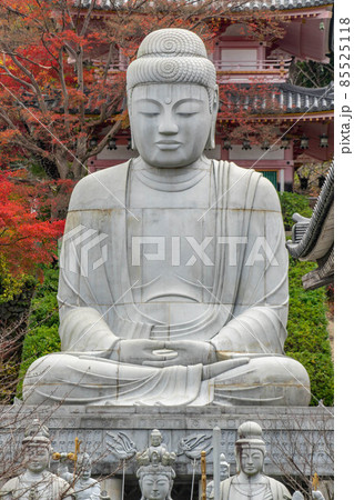 壺阪寺 85525118
