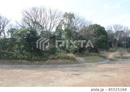 大阪高槻の今城塚古墳の冬風景 85525168
