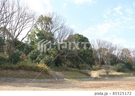大阪高槻の今城塚古墳の冬風景 85525172