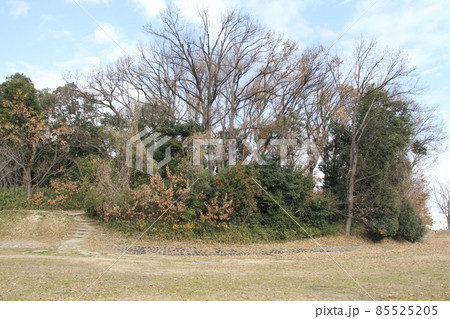 大阪高槻の今城塚古墳の冬風景 85525205