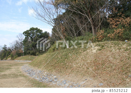 大阪高槻の今城塚古墳の冬風景 85525212
