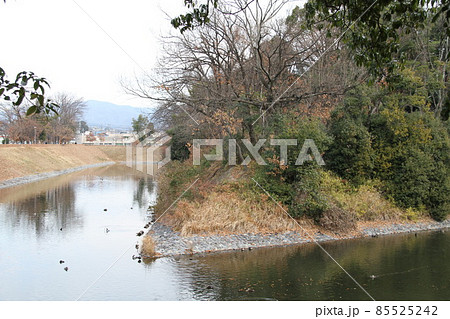 大阪高槻の今城塚古墳の冬風景 85525242