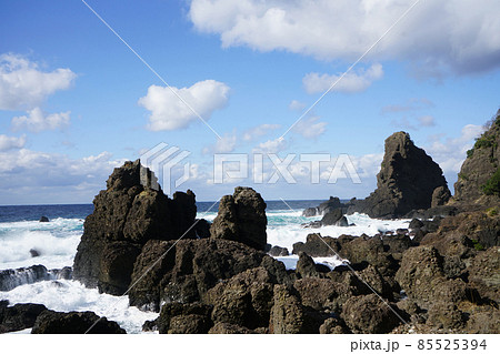 越前海岸　新春風景　越前加賀海岸国定公園 85525394
