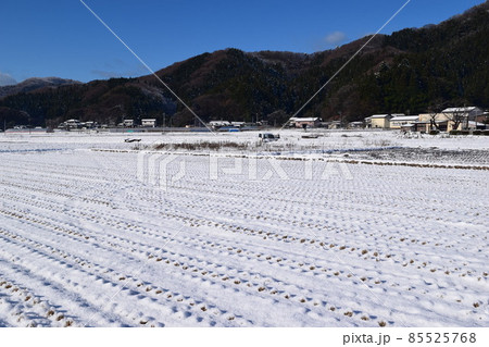 雪が積もった水田 山形県 雪が積もった水田 山形県 85525768